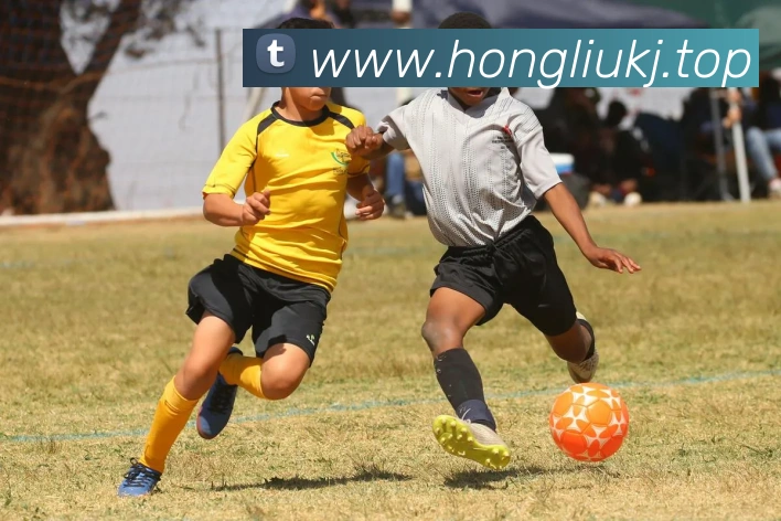 华会体育APP 封面图